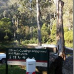メルボルンのハイキングスポット「O'Brien's Crossing Campground and Picnic Area」